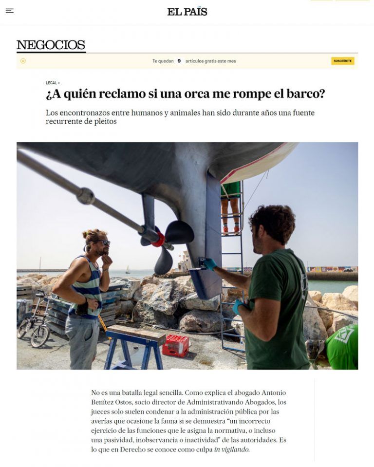 aparicion-en-prensa-el-pais