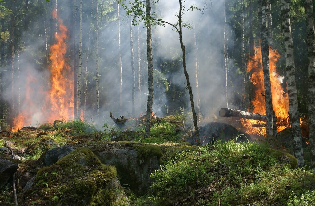 sanciones por provocar incendios en España
