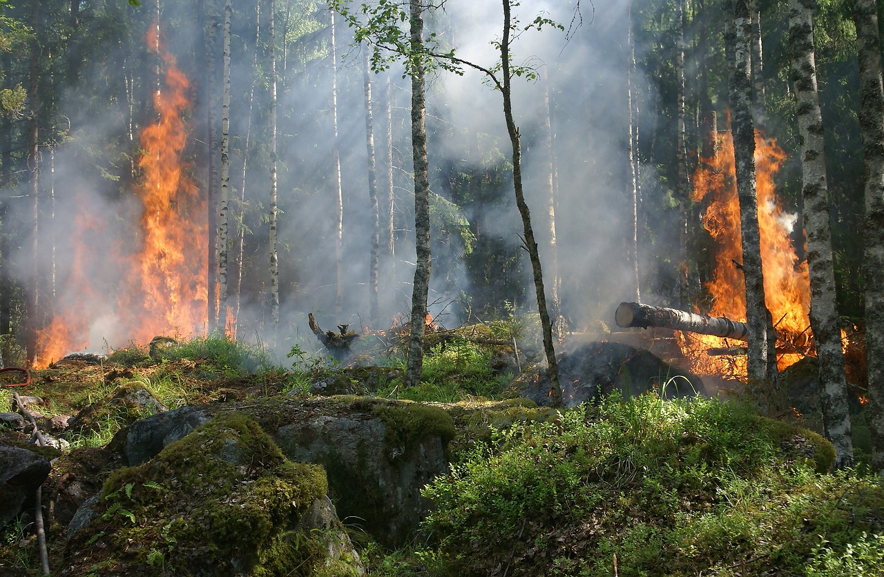 sanciones por provocar incendios en España