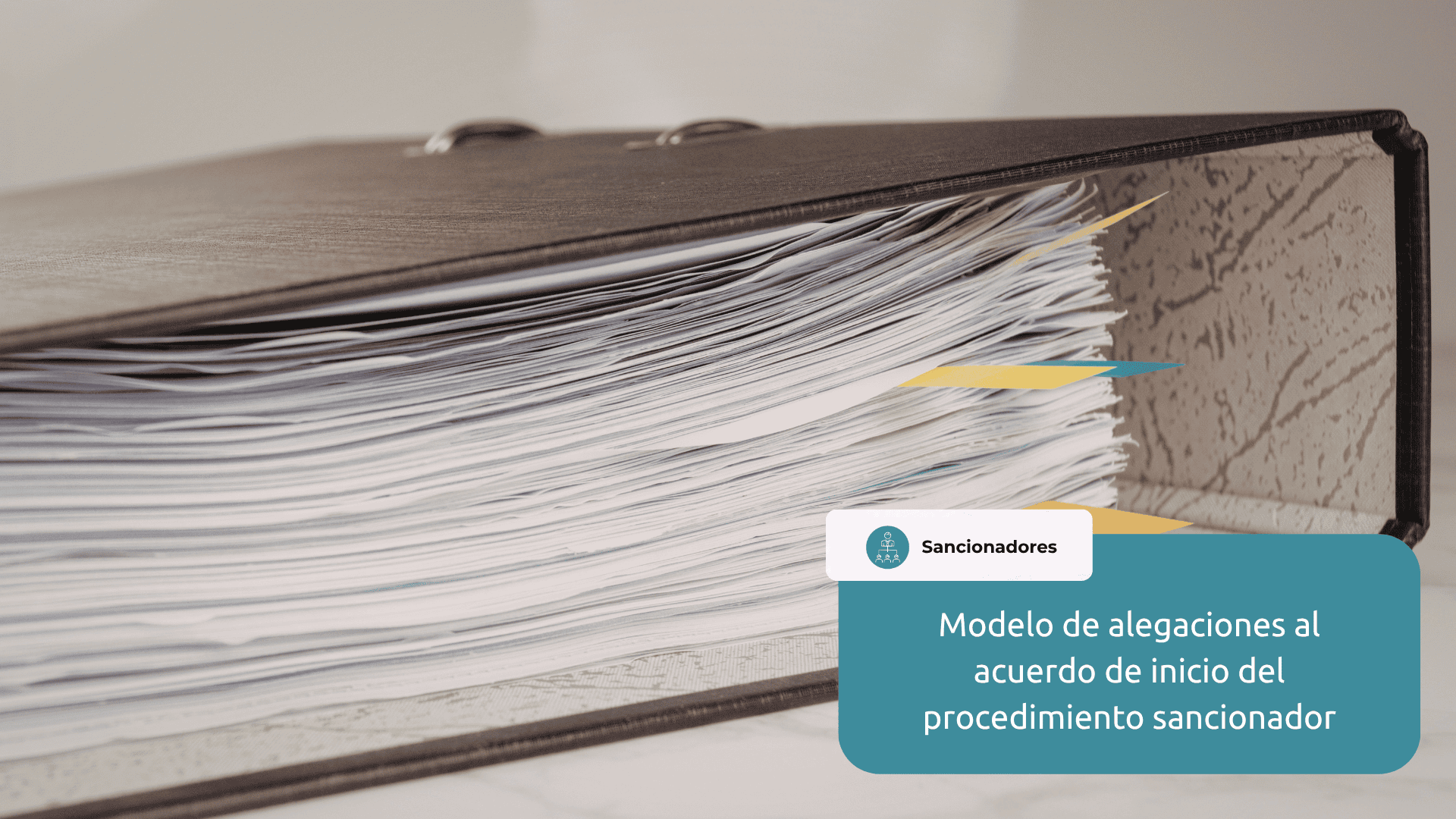 modelo escrito de alegaciones
