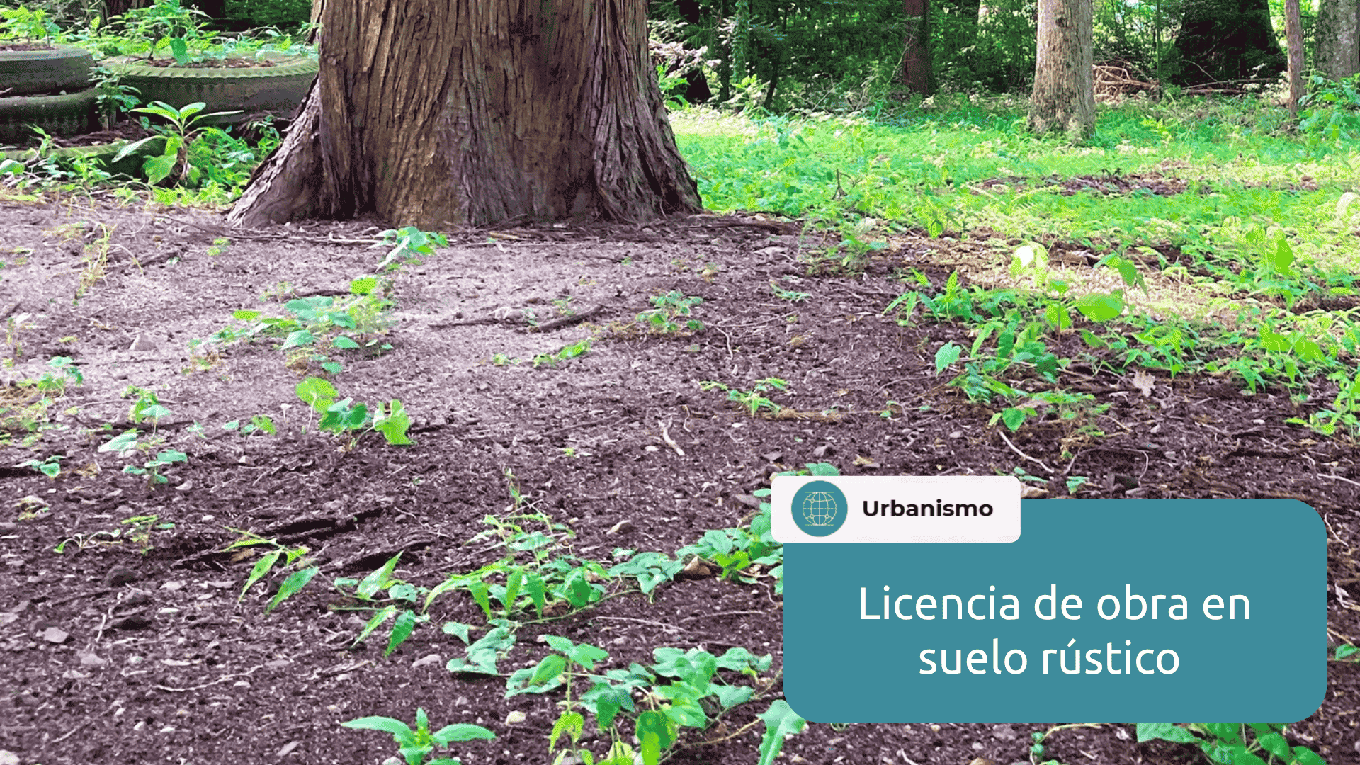 licencia de obra en suelo rústico
