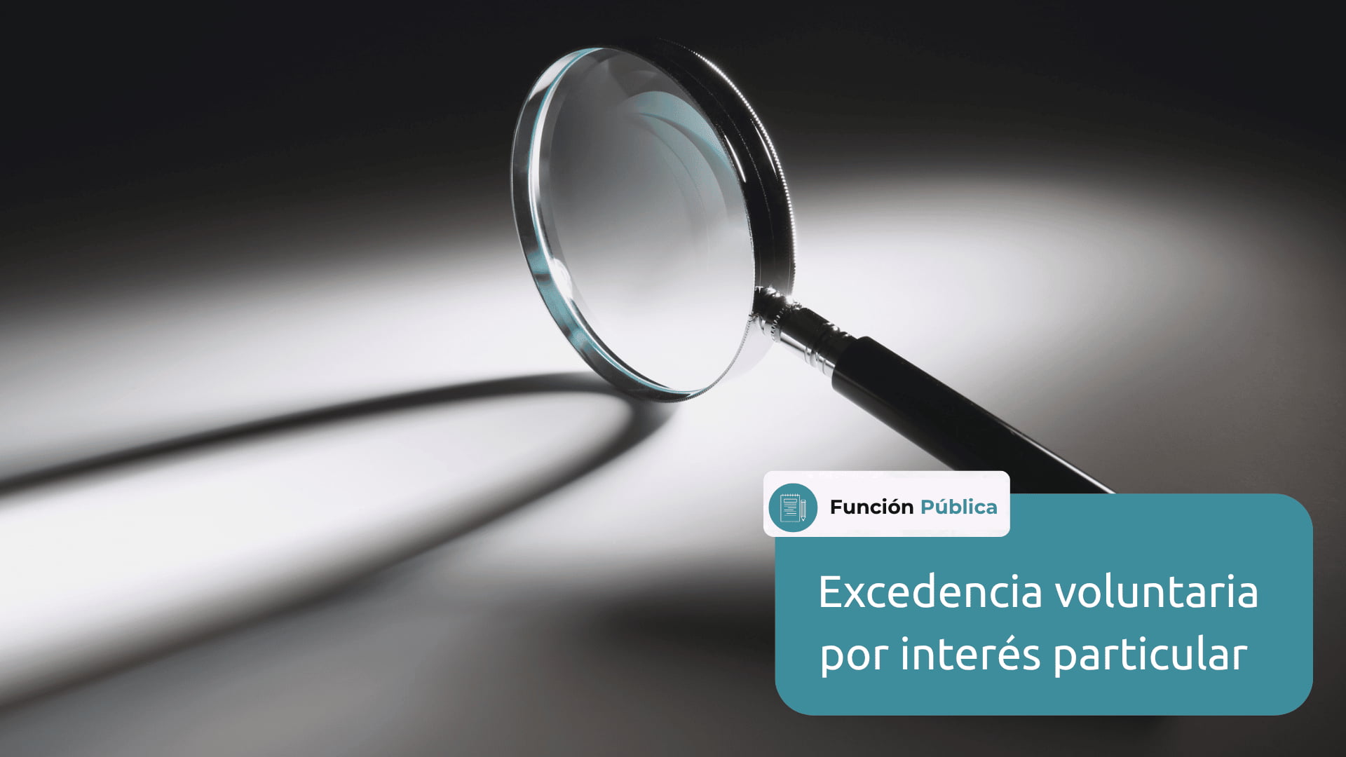 excedencia voluntaria por interés particular