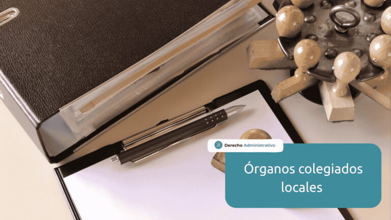 organos colegiados locales