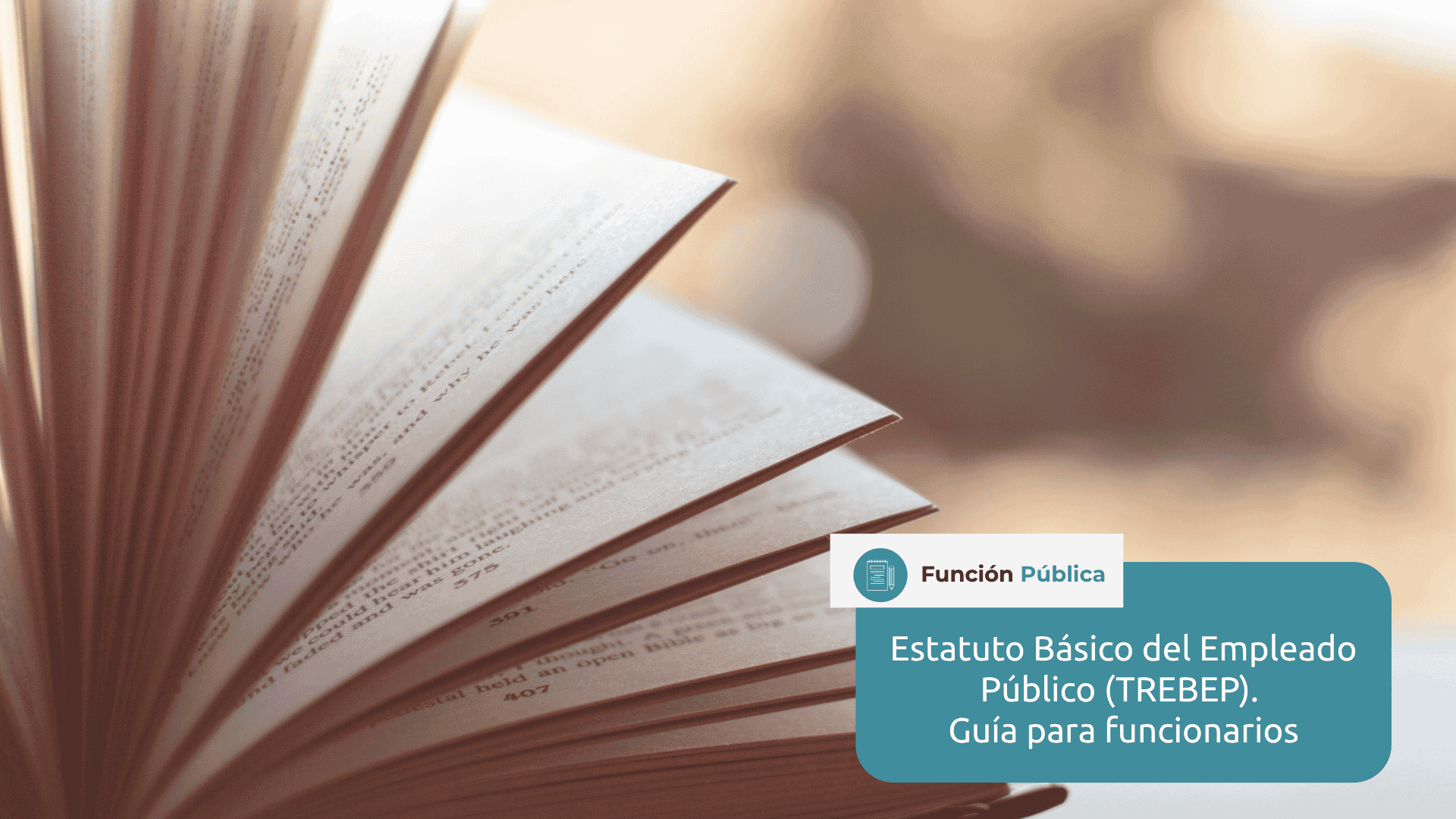 trebep estatuto basico empleado publico